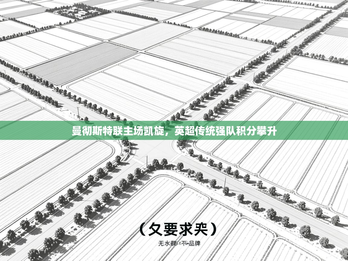 曼彻斯特联主场凯旋，英超传统强队积分攀升  第2张