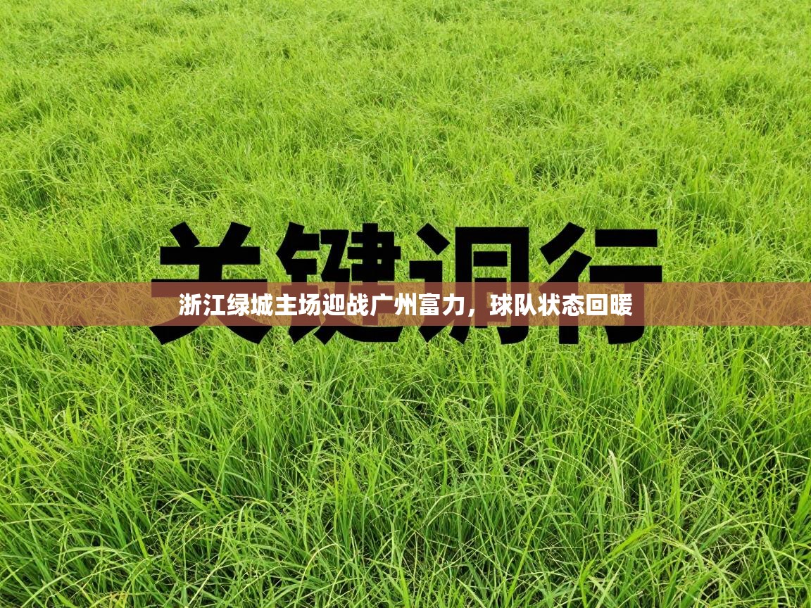 浙江绿城主场迎战广州富力,球队状态回暖 第2张